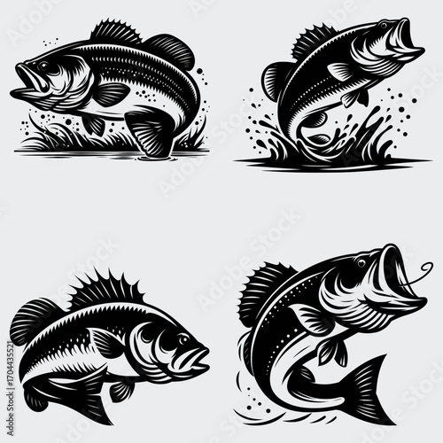 Bass Fishing SVG Bundle, Bass Fish SVG, Fishing SVG, Fisherman SVG, Silhouette Vector, Fish SVG