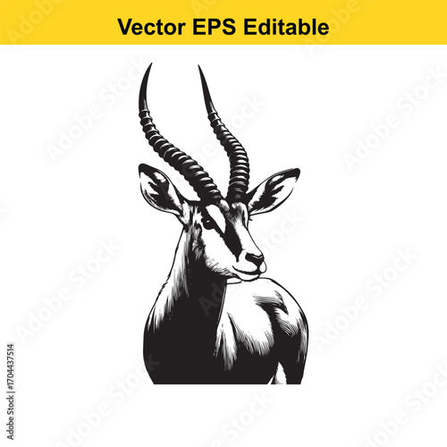 Vector art of black and white illustration of a gazelle