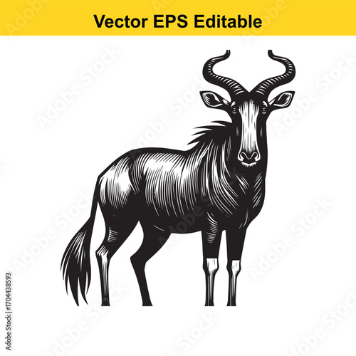 Vector art of wildebeest illustration