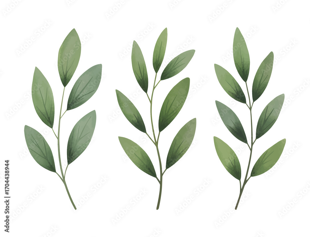 Naklejka premium Minimal botanical greenery stems isolated on white background. Watercolor eucalyptus leaf.