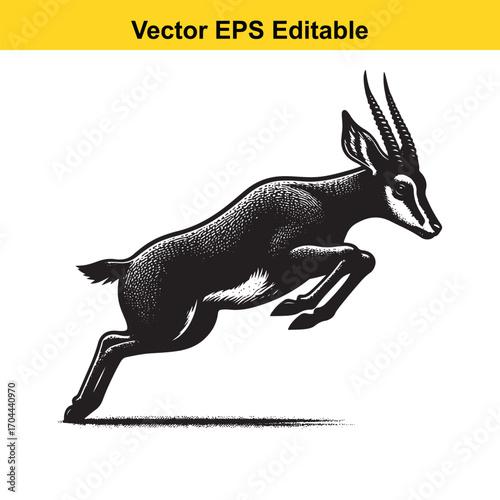 Vector art of black and white illustration of a gazelle jumping