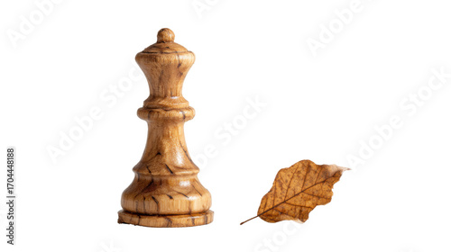 Wooden chess piece standing next to a small dried on white background 