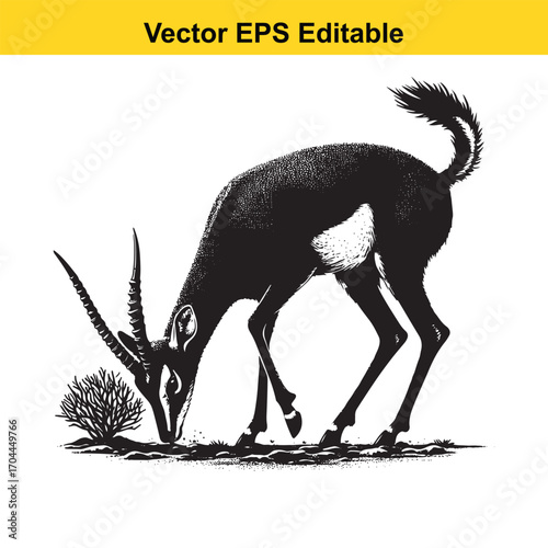 Vector art of black and white illustration of a gazelle eating grass