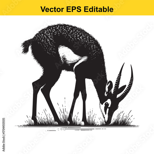 Vector art of black and white illustration of a gazelle grazing on grass