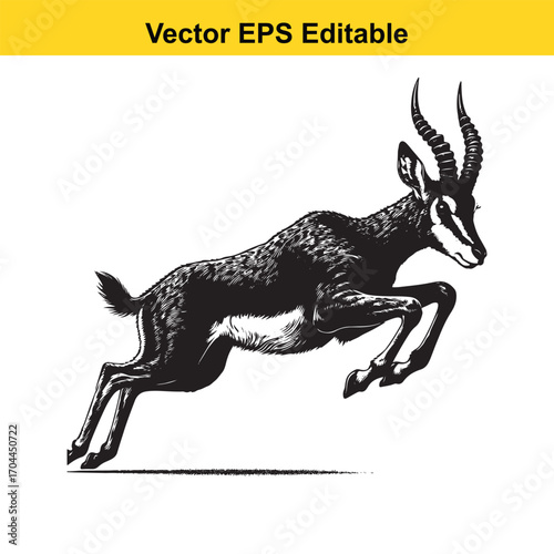Vector art of black and white illustration of a gazelle jumping