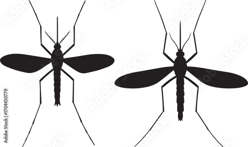 Two detailed black silhouettes of mosquitoes with outstretched legs and wings