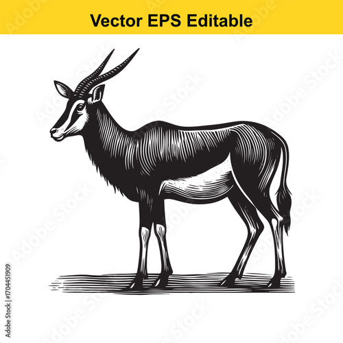 Vector art of sable antelope illustration