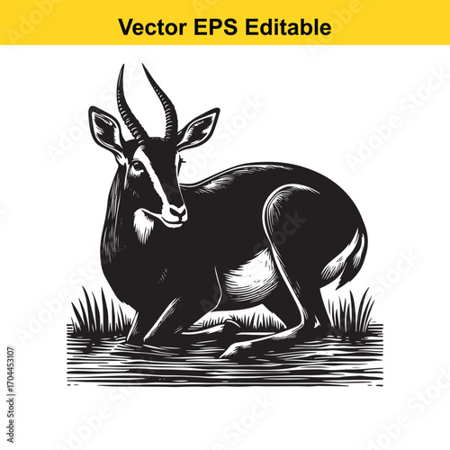Vector art of black and white illustration of a gazelle lying down in grass