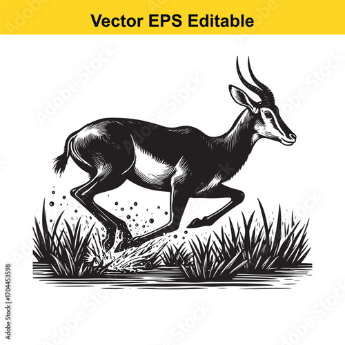 Vector art of black and white illustration of a gazelle running through grass
