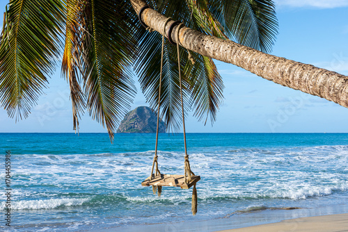 Tropical Palm Tree with Swing on Diamond Beach, Facing Diamond Rock, Martinique, French Caribbean