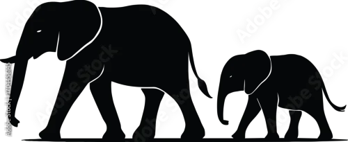 Fototapeta Minimal vector silhouette, elephant family in line, adult, juvenile, baby, side view, solid black shapes