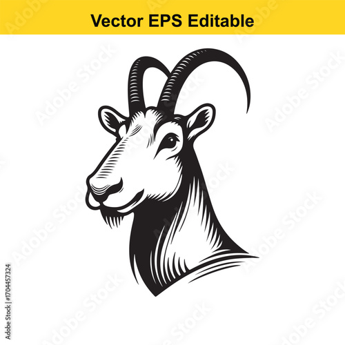 Vector art of head of a goat with curved horns