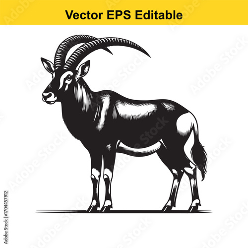 Vector art of black and white illustration of a sable antelope