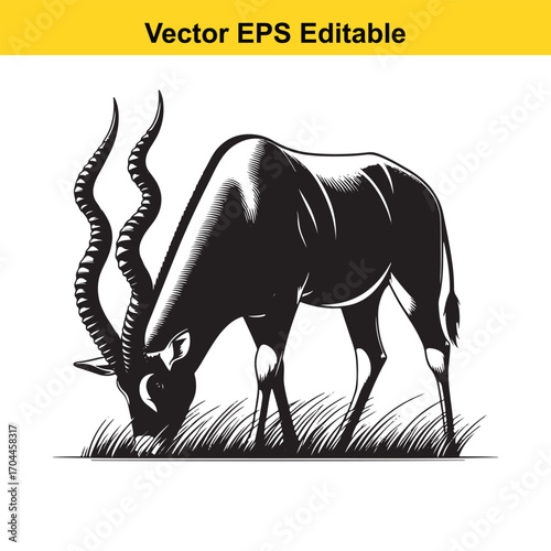 Vector art of black and white illustration of an antelope grazing on grass