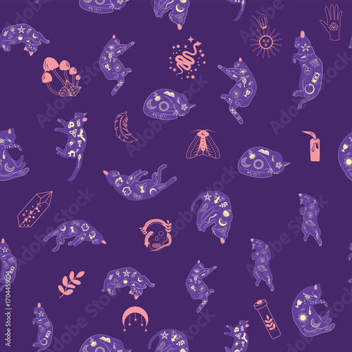 Mystical seamless pattern of cats in boho style, silhouette collection. Esotericism and mysticism, occultism. Cartoon flat vector illustrations, isolated
