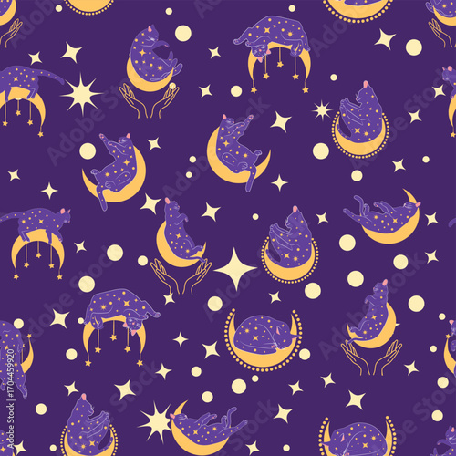 Mystical seamless pattern of cats in boho style, silhouette collection. Esotericism and mysticism, occultism. Cartoon flat vector illustrations, isolated