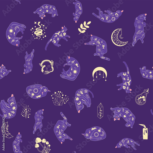 Mystical seamless pattern of cats in boho style, silhouette collection. Esotericism and mysticism, occultism. Cartoon flat vector illustrations, isolated