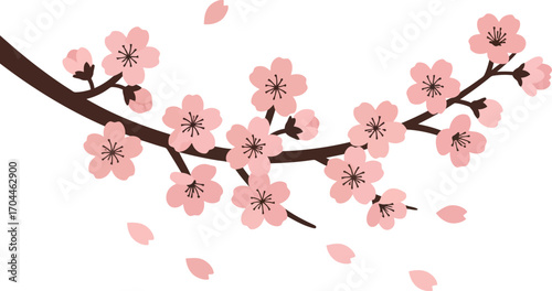 Graceful Japanese Sakura Branch with Delicate Pink Blossoms and Falling Petals, a Symbol of Renewal, Ephemeral Beauty, and the Arrival of Spring.