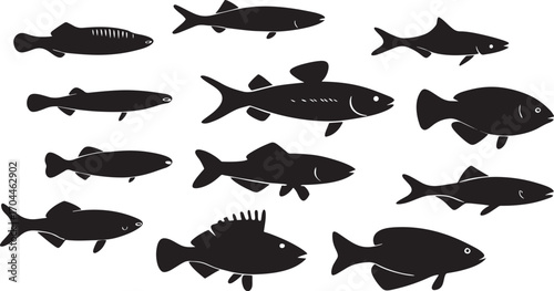 Diverse fish silhouettes black aquatic creatures marine