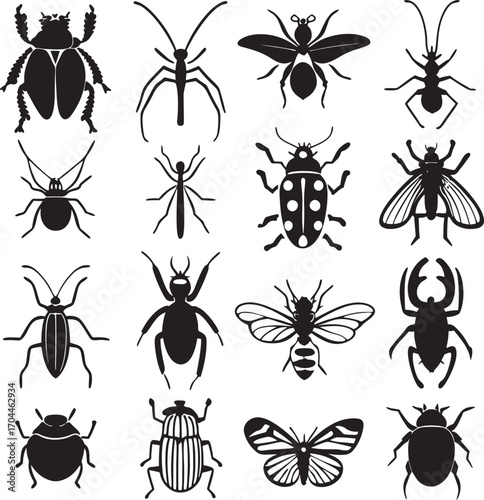Diverse insect collection black silhouettes beetle