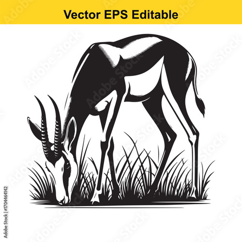 Vector art of black and white illustration of a gazelle grazing on grass