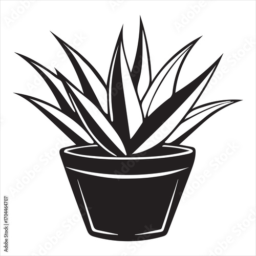 aloe vera plant vector icon