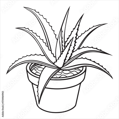 aloe vera plant vector icon
