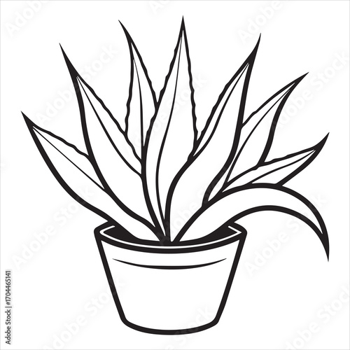 aloe vera plant vector icon