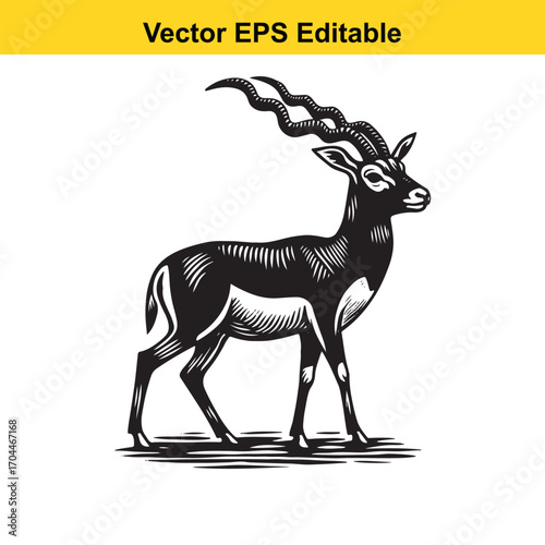 Vector art of blackbuck antelope illustration