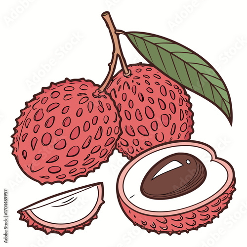 Fresh lychee fruit illustration with textured skin and a green leaf on a white background creating a vibrant food scene