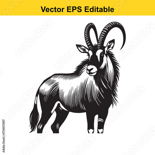 Vector art of stylized black and white illustration of a sable antelope