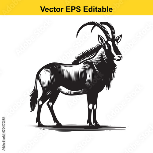 Vector art of stylized illustration of a sable antelope standing