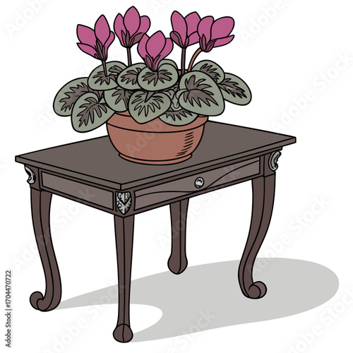Potted cyclamen flowers on an antique table with drawer and ornate legs creating a vintage botanical illustration