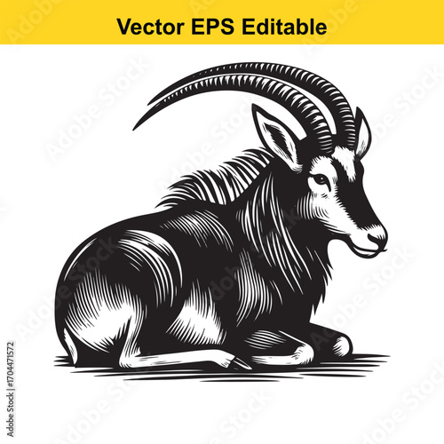 Vector art of sable antelope lying down