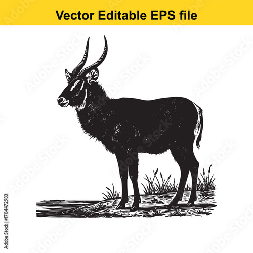 Vector art of black and white illustration of a waterbuck standing on grass near water