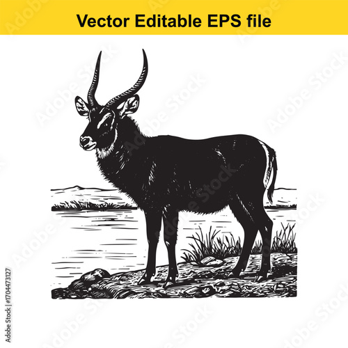 Vector art of black and white illustration of a waterbuck standing by a river bank