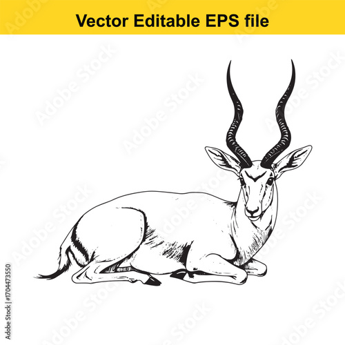 Illustration of a gazelle lying down