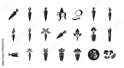 Carrots, Bananas, and Flowers in Black and White Illustration