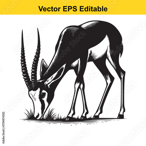 Vector art of black and white illustration of a gazelle grazing on grass