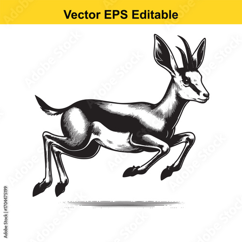 Vector art of black and white illustration of a gazelle jumping