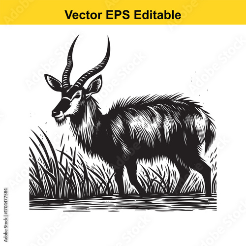 Illustration of a nyala antelope standing in tall grass