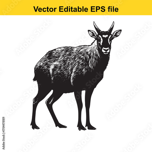 Vector art of black and white illustration of a chamois goat