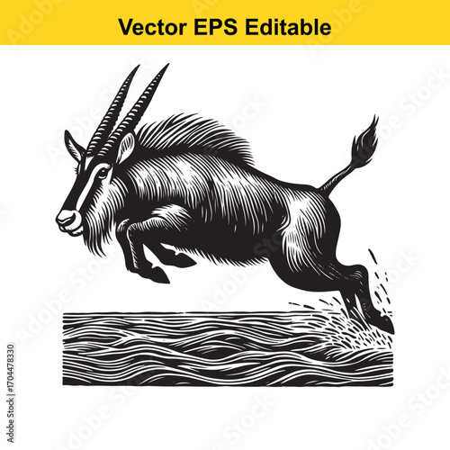 Vector art of black and white illustration of a sable antelope jumping over water