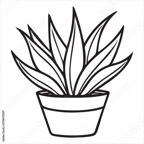 aloe vera plant vector outline