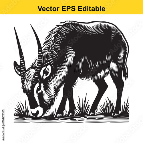 Vector art of black and white illustration of a wild antelope grazing on grass