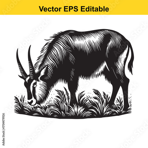 Vector art of black and white illustration of a sable antelope grazing in grass