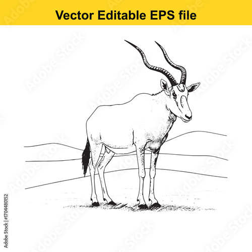 Vector art of black and white sketch of a majestic antelope with long, spiraling horns