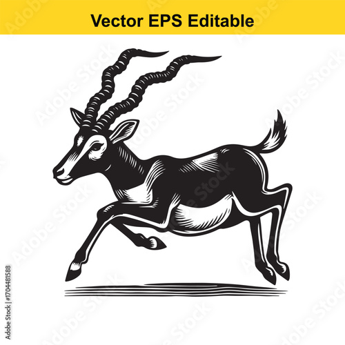 Vector art of black and white illustration of a gazelle running