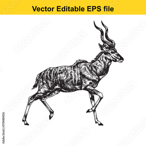 Vector art of kudu antelope walking