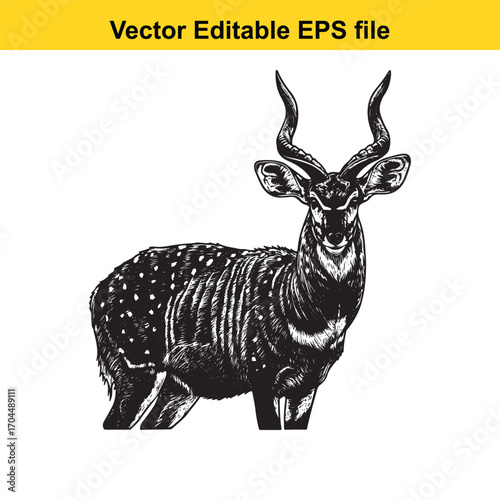 Vector art of greater kudu antelope illustration